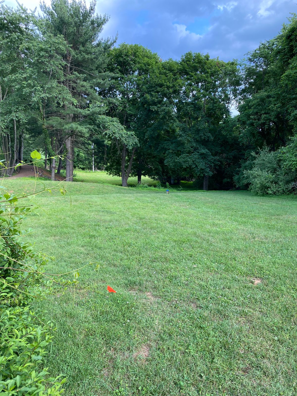 Hole 2 Tee