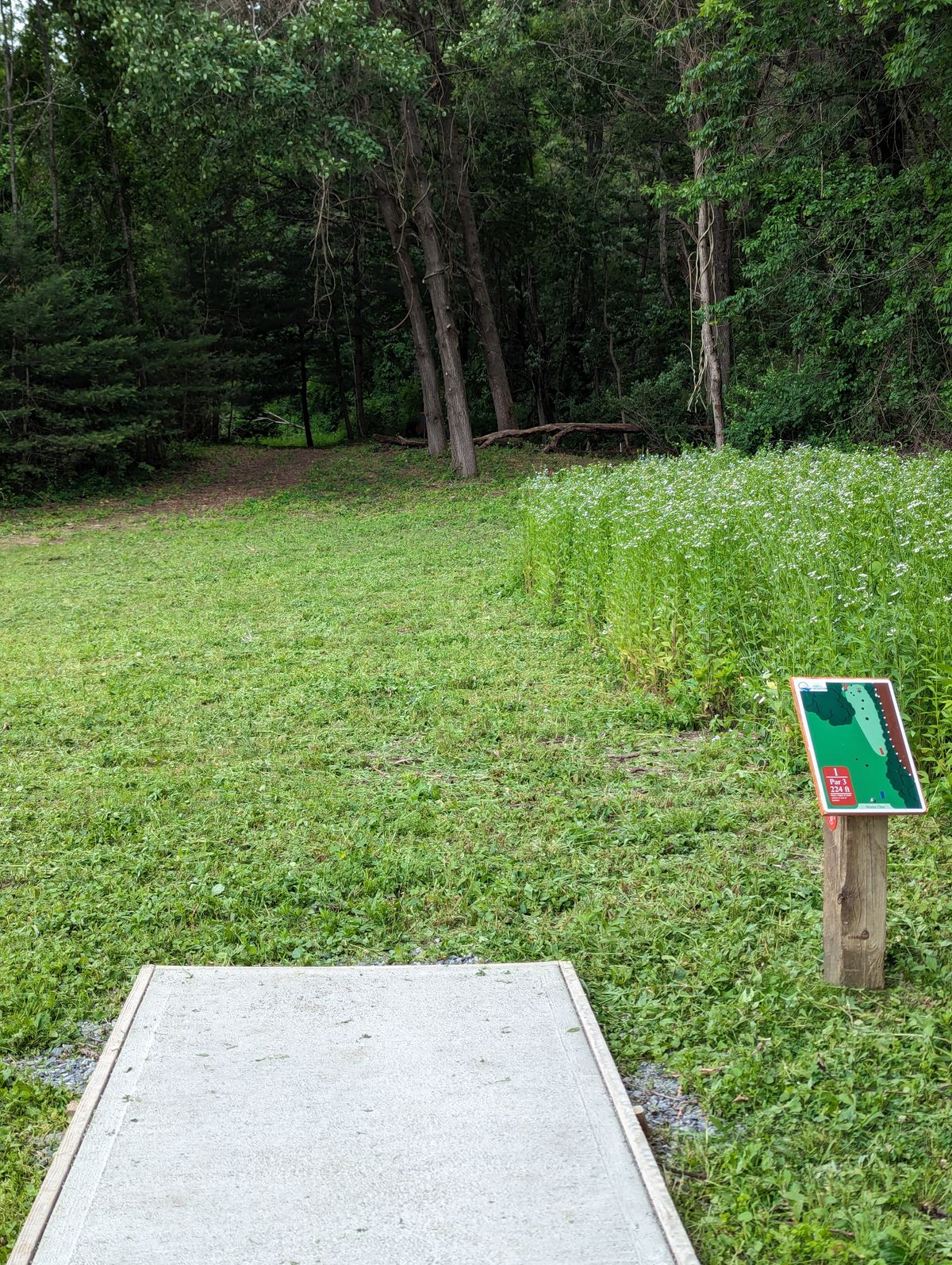 #1 Red tee pad