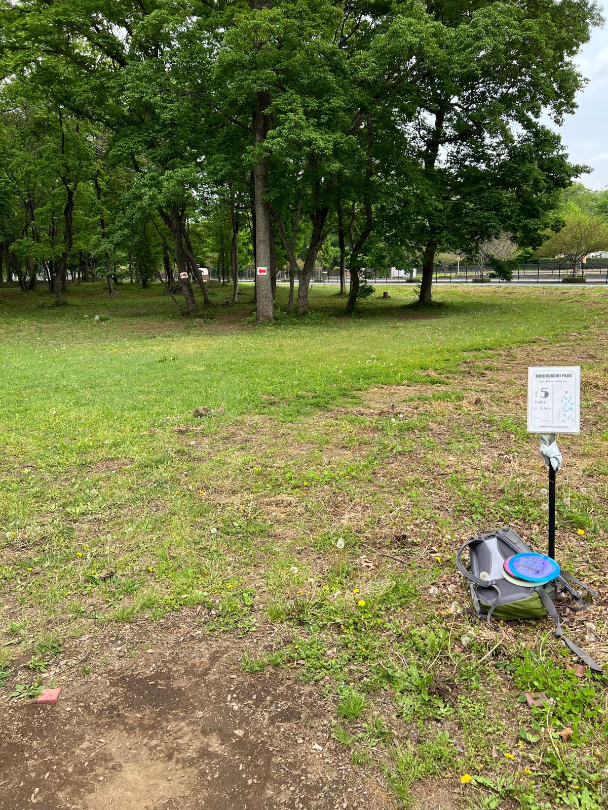 Tee box for hole 5. Basket is behind trees.