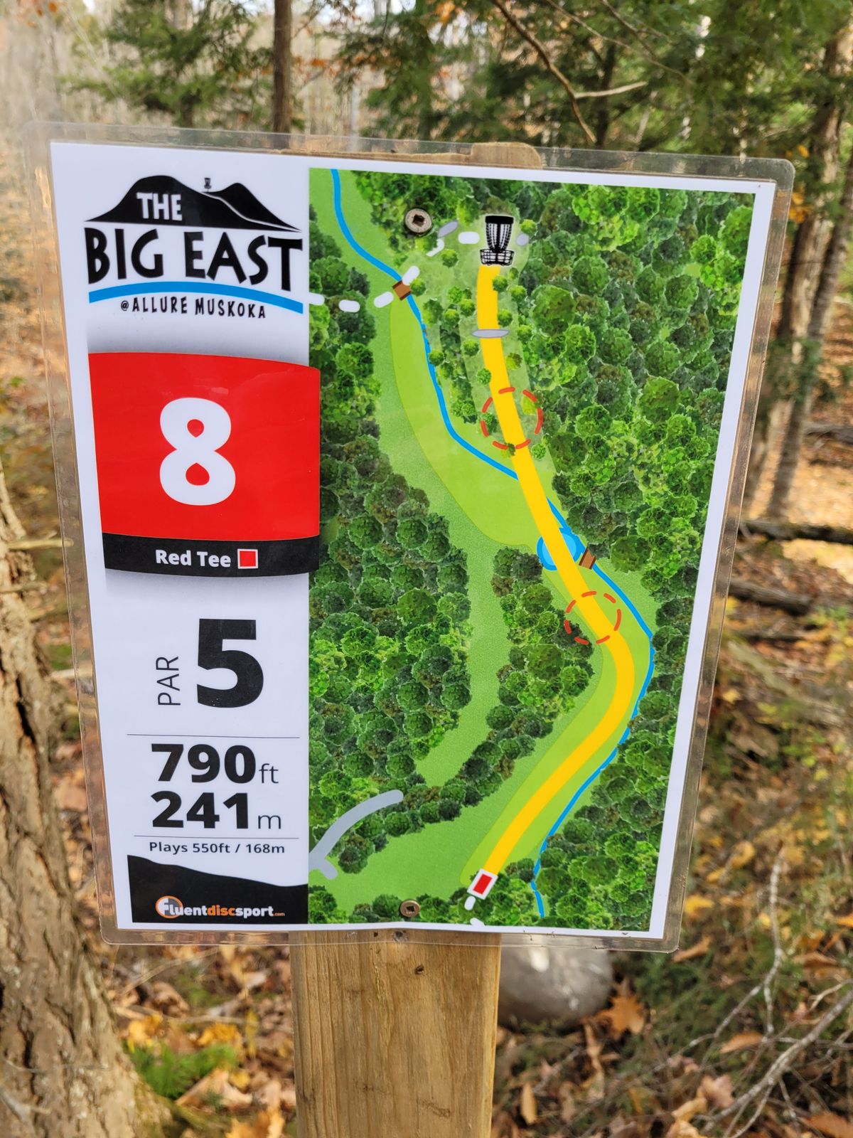 Hole 8, 790 ft