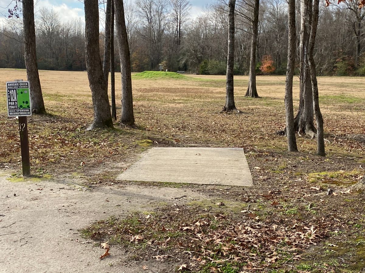 Hole 12 pad