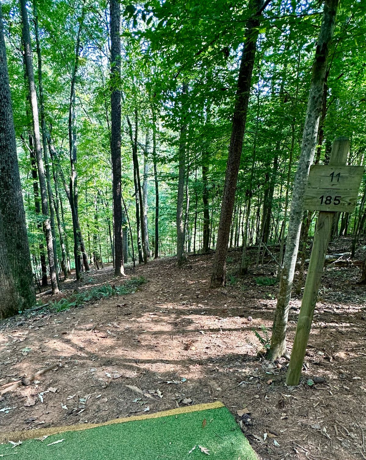 Hole 11