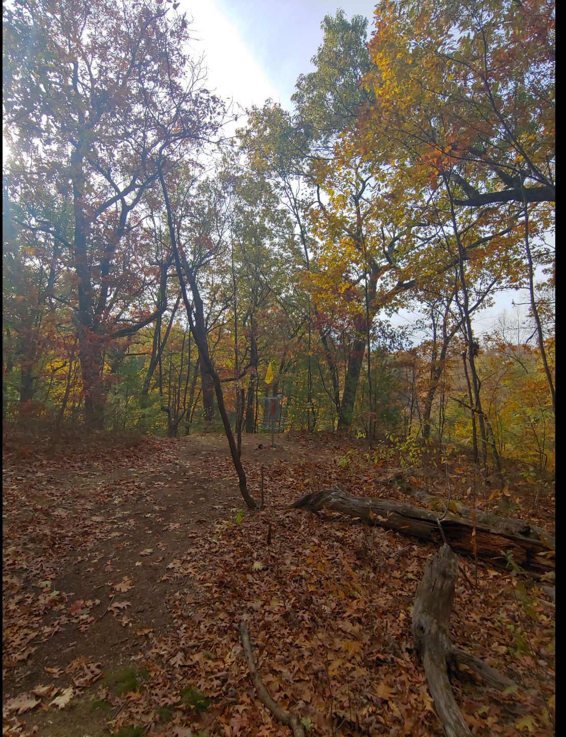 Hole 12 basket