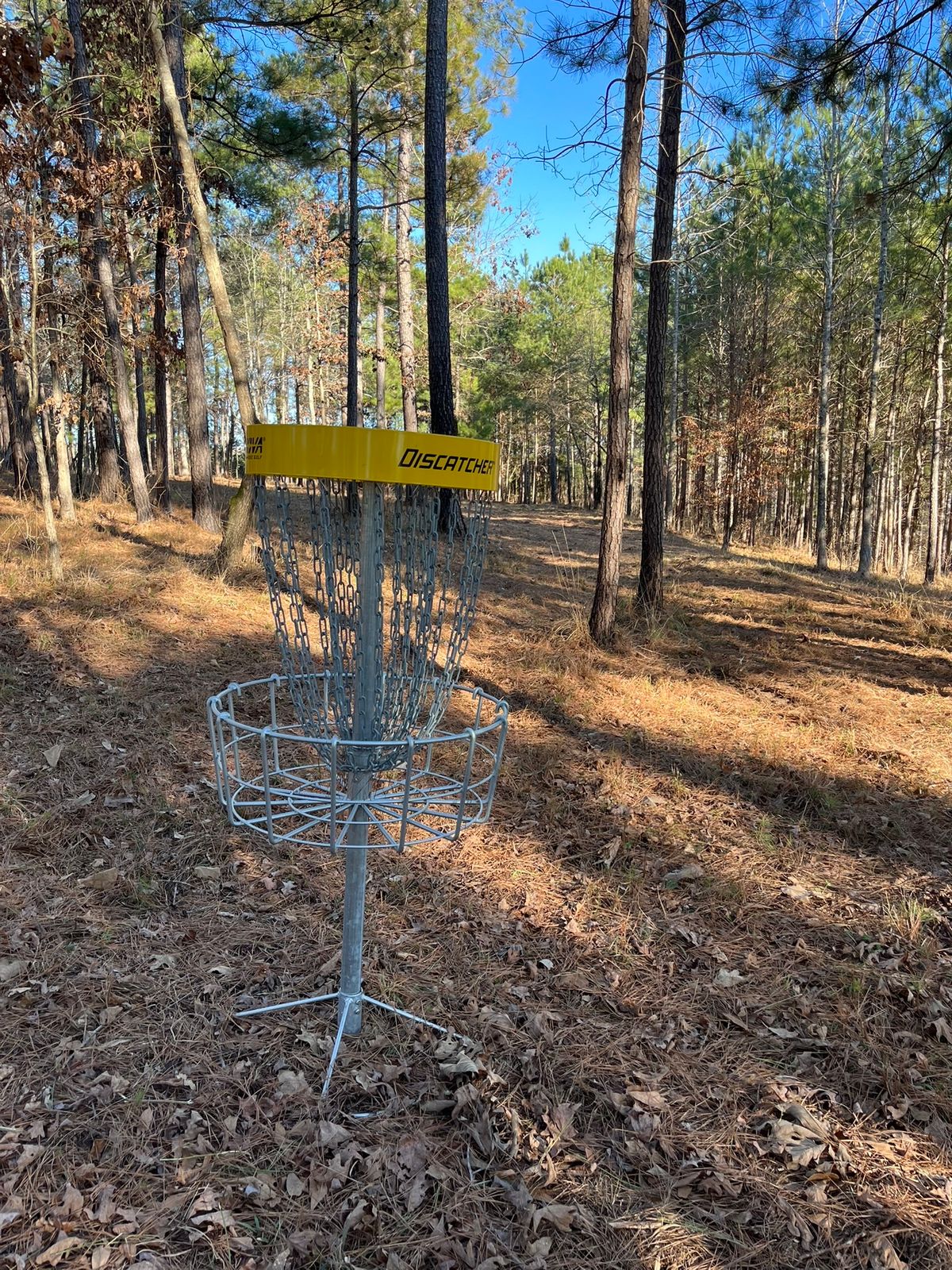 Hole 4 - basket to tee