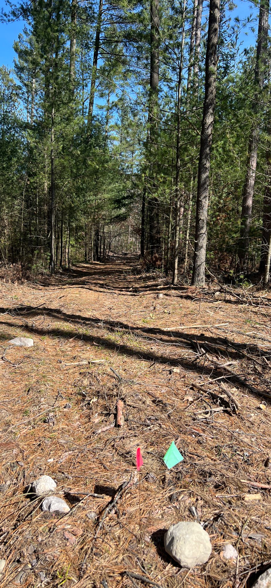 Hole 5 pin looking back