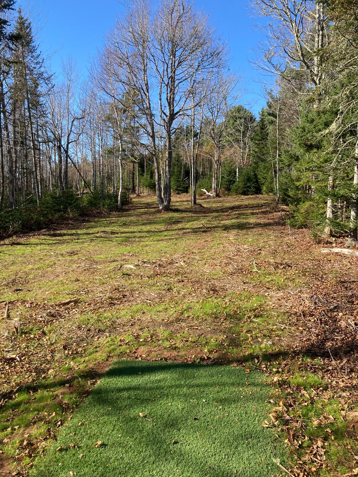 The tee of hole 7. 