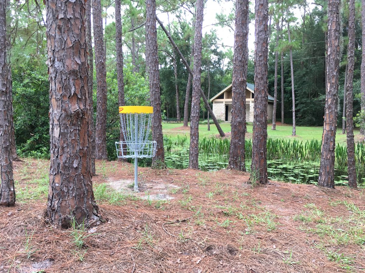 Hole 9 Basket