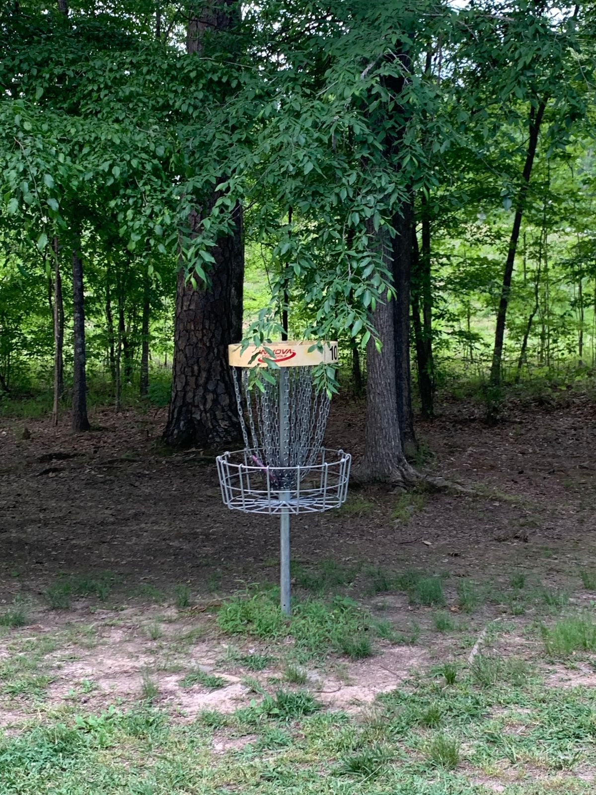 Hole 10 needs some love with trimming the trees by basket and on fairway