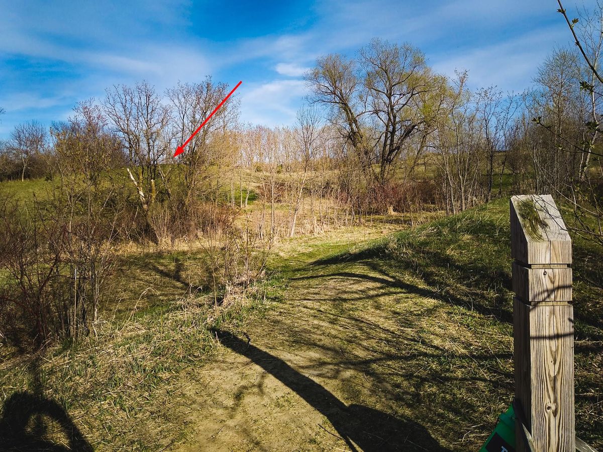 Hole #9 - over the tree gap on the top of the hill to the left