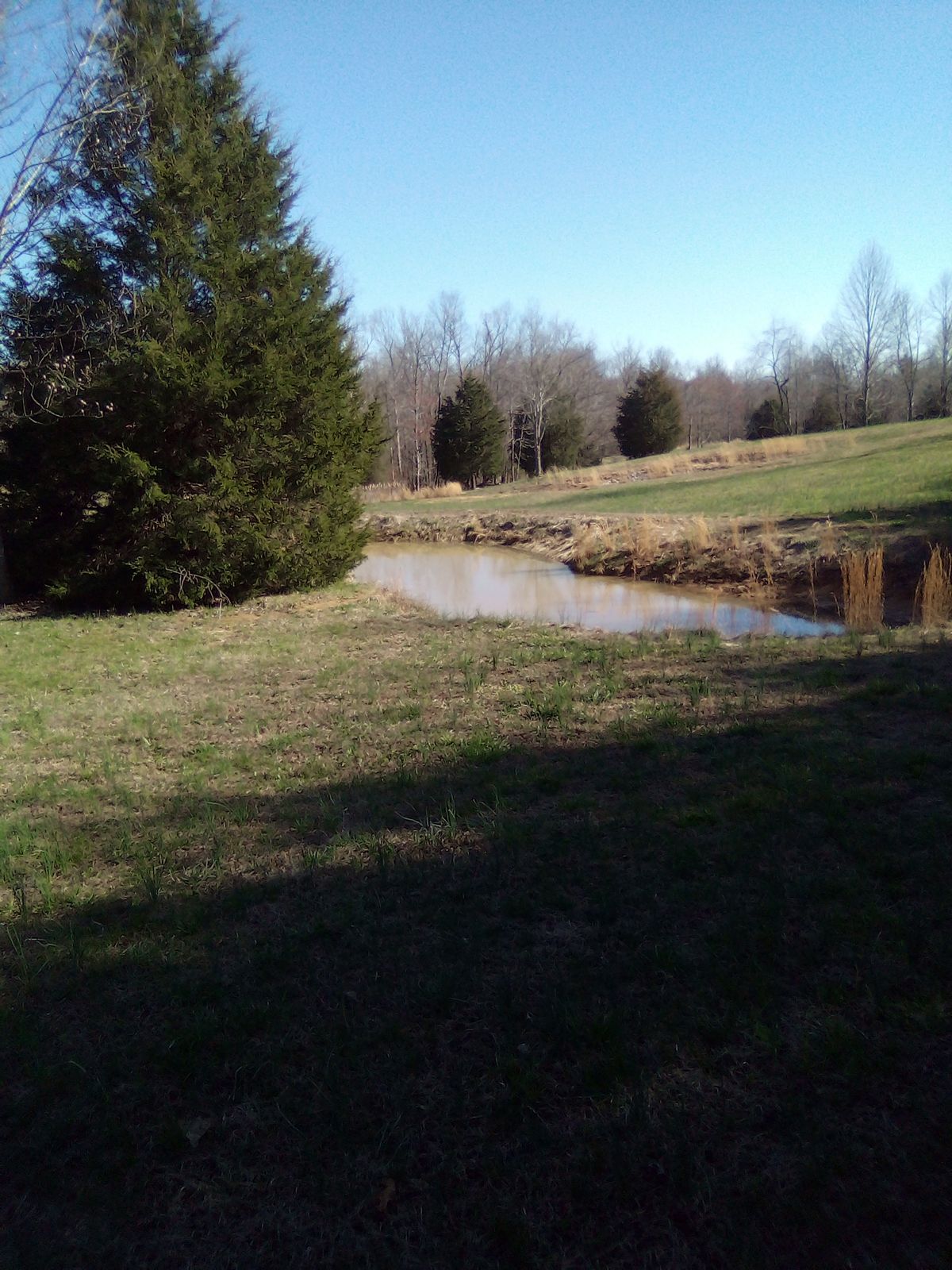 Hole 18 pond in front of the basket