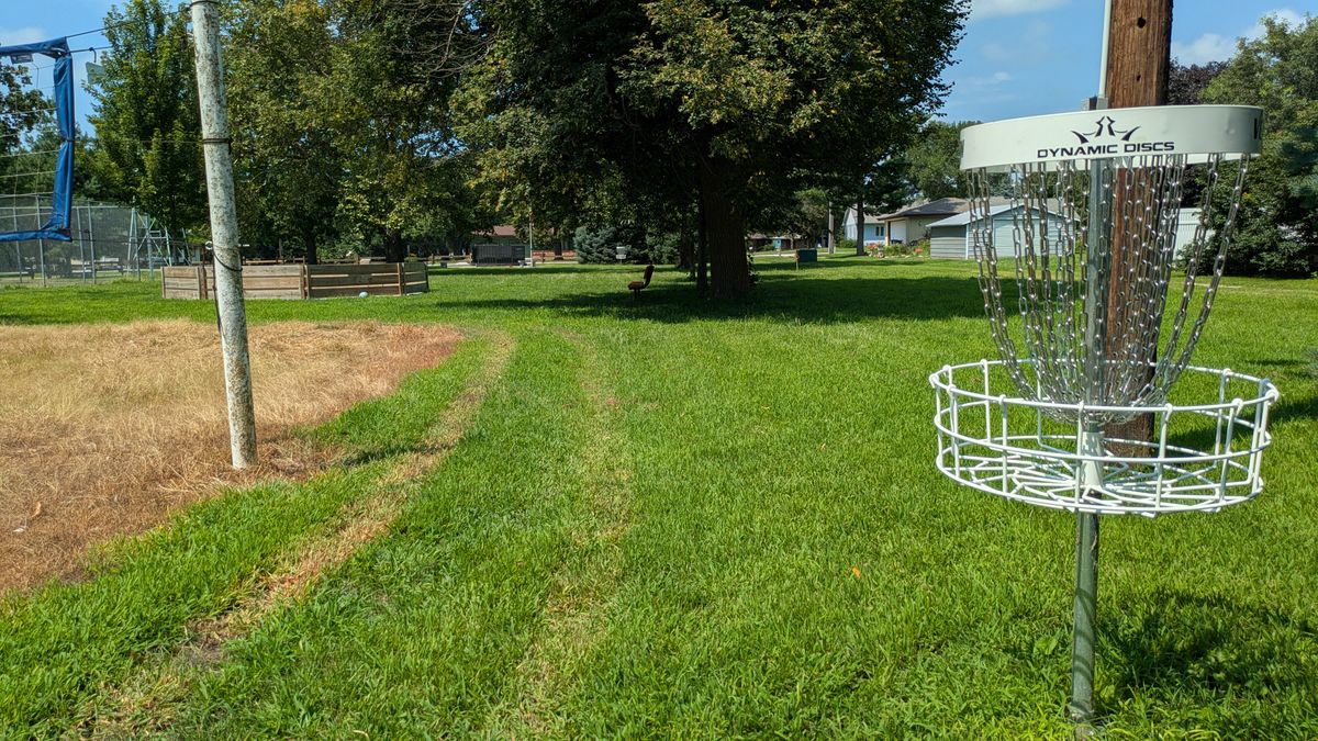 Tee #5 (Basket 4)