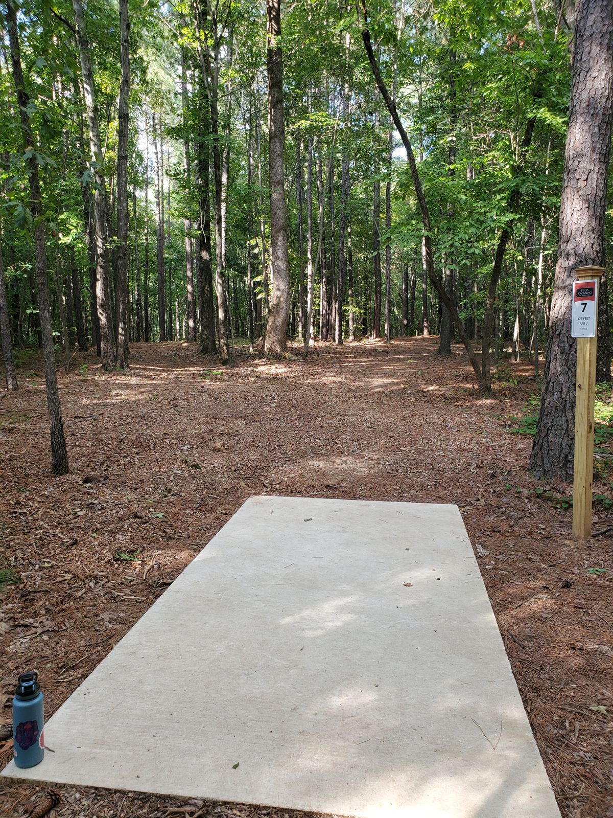 Hole 7 tee - two lines to the basket
