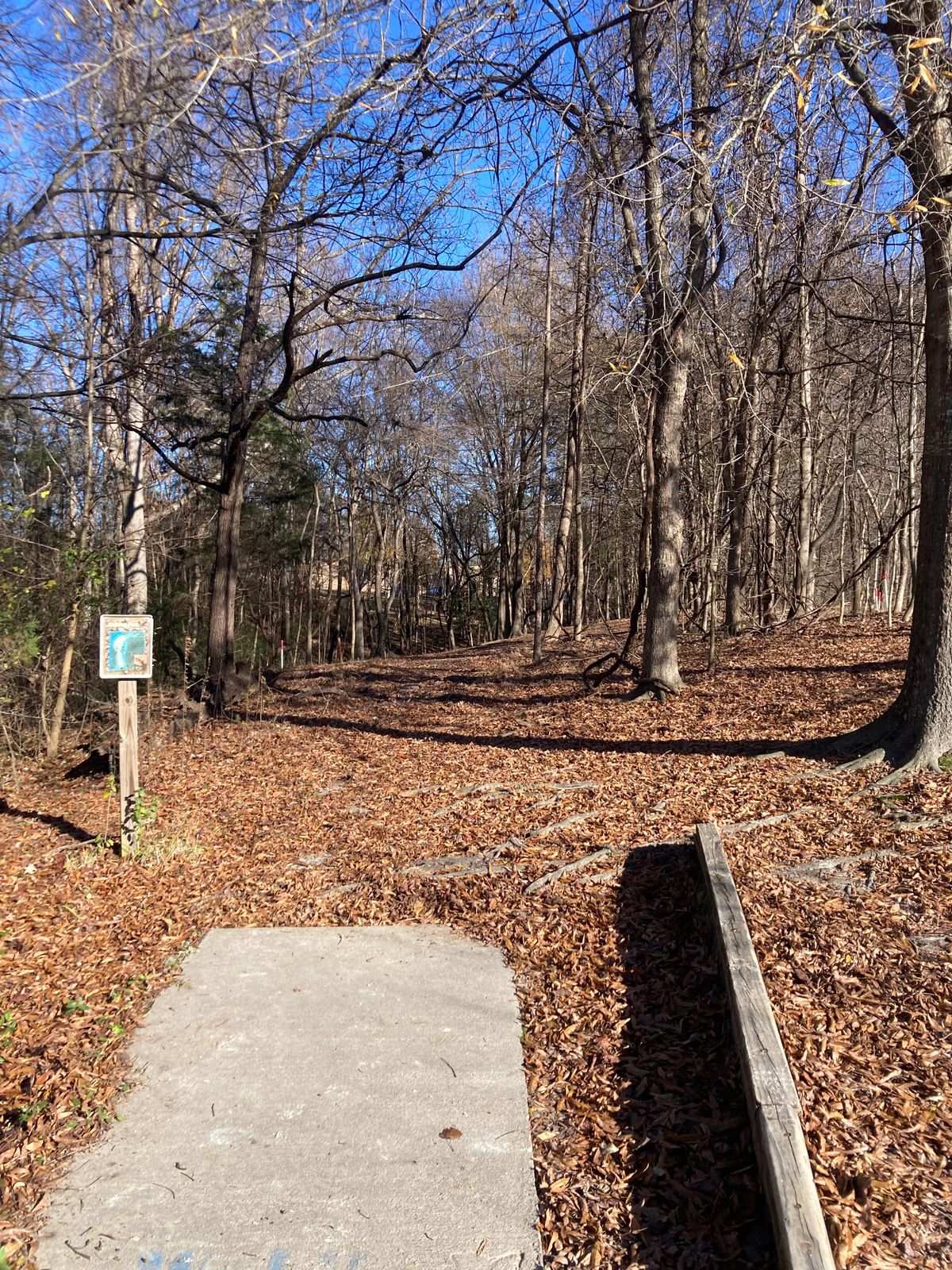 Hole 8 Teepad