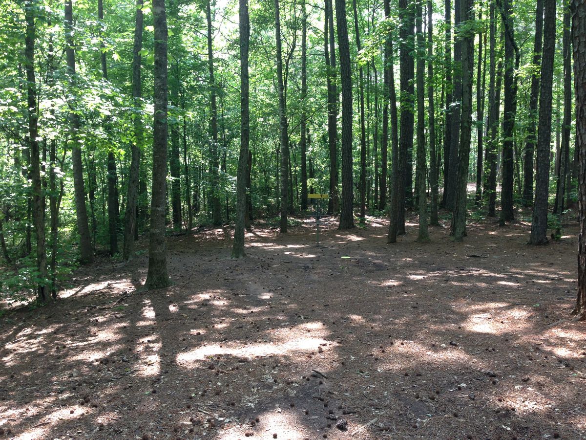 Hole 7