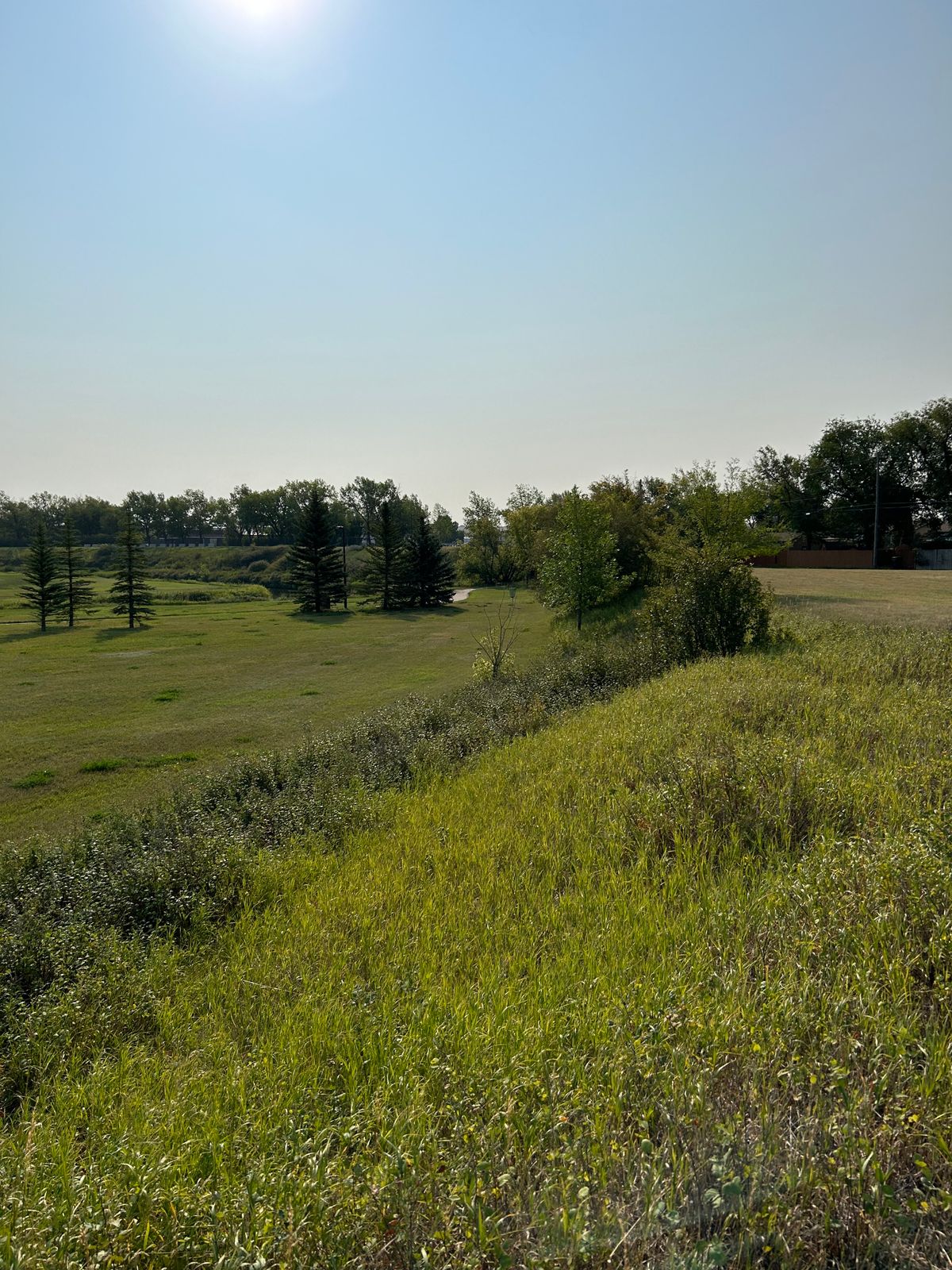 Hole 4