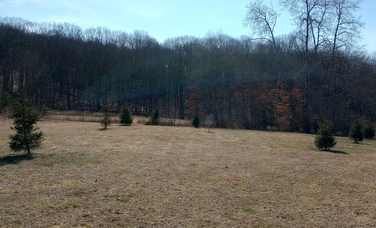 Hole 1 green