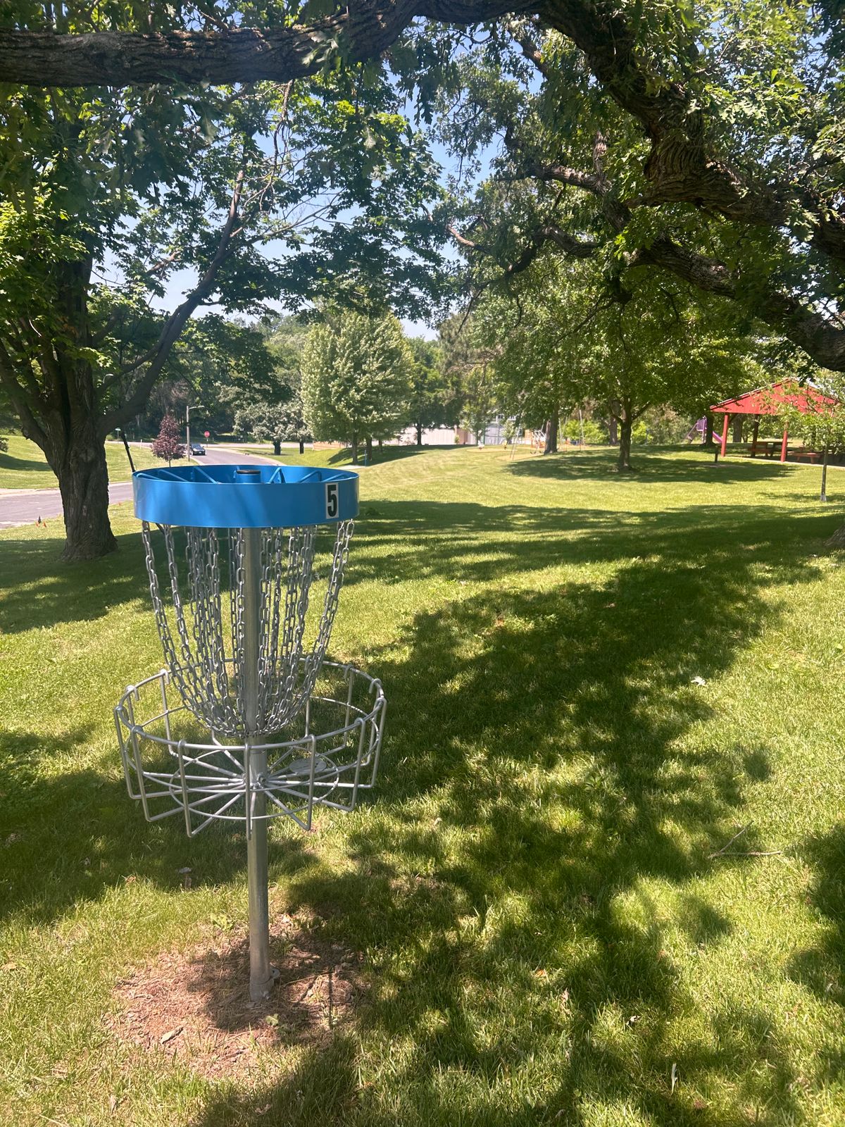 Hole 5 basket