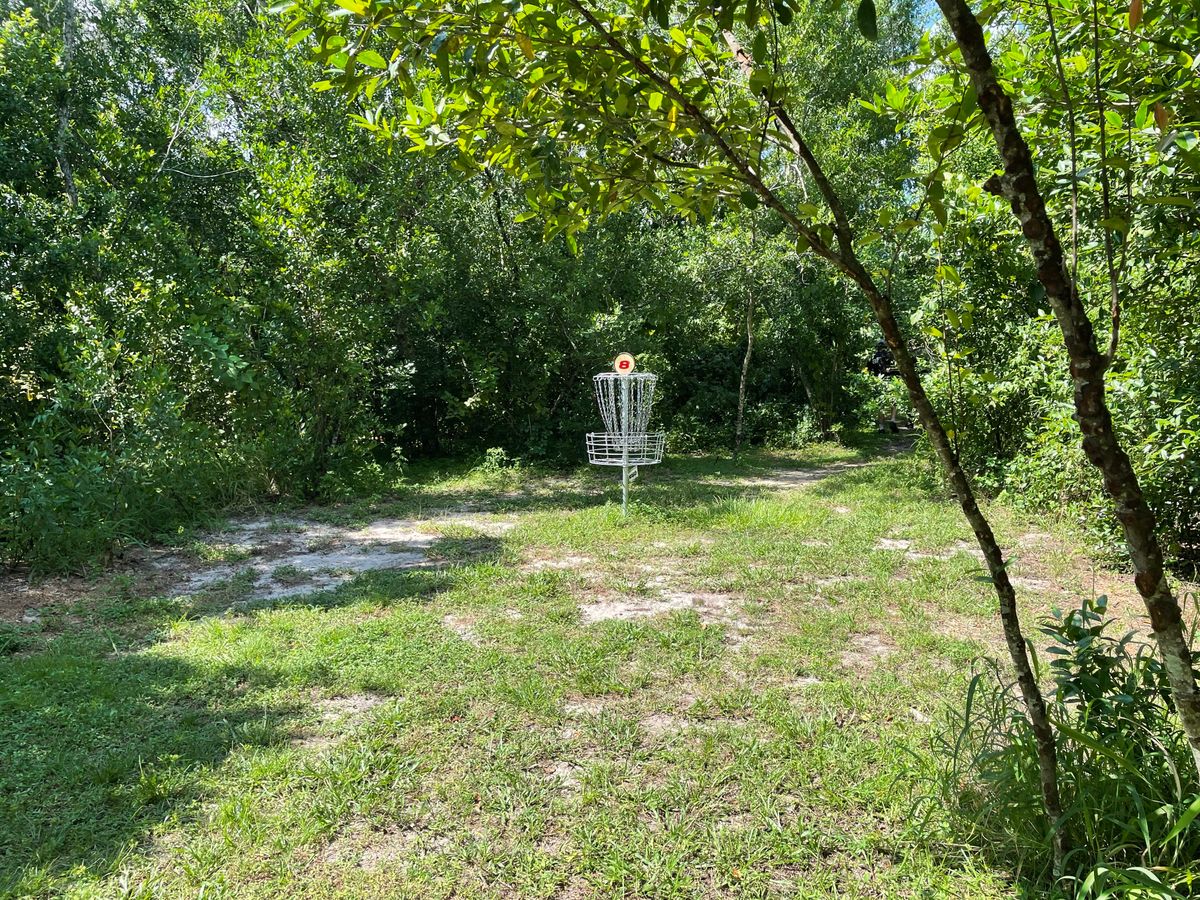 Hole 8