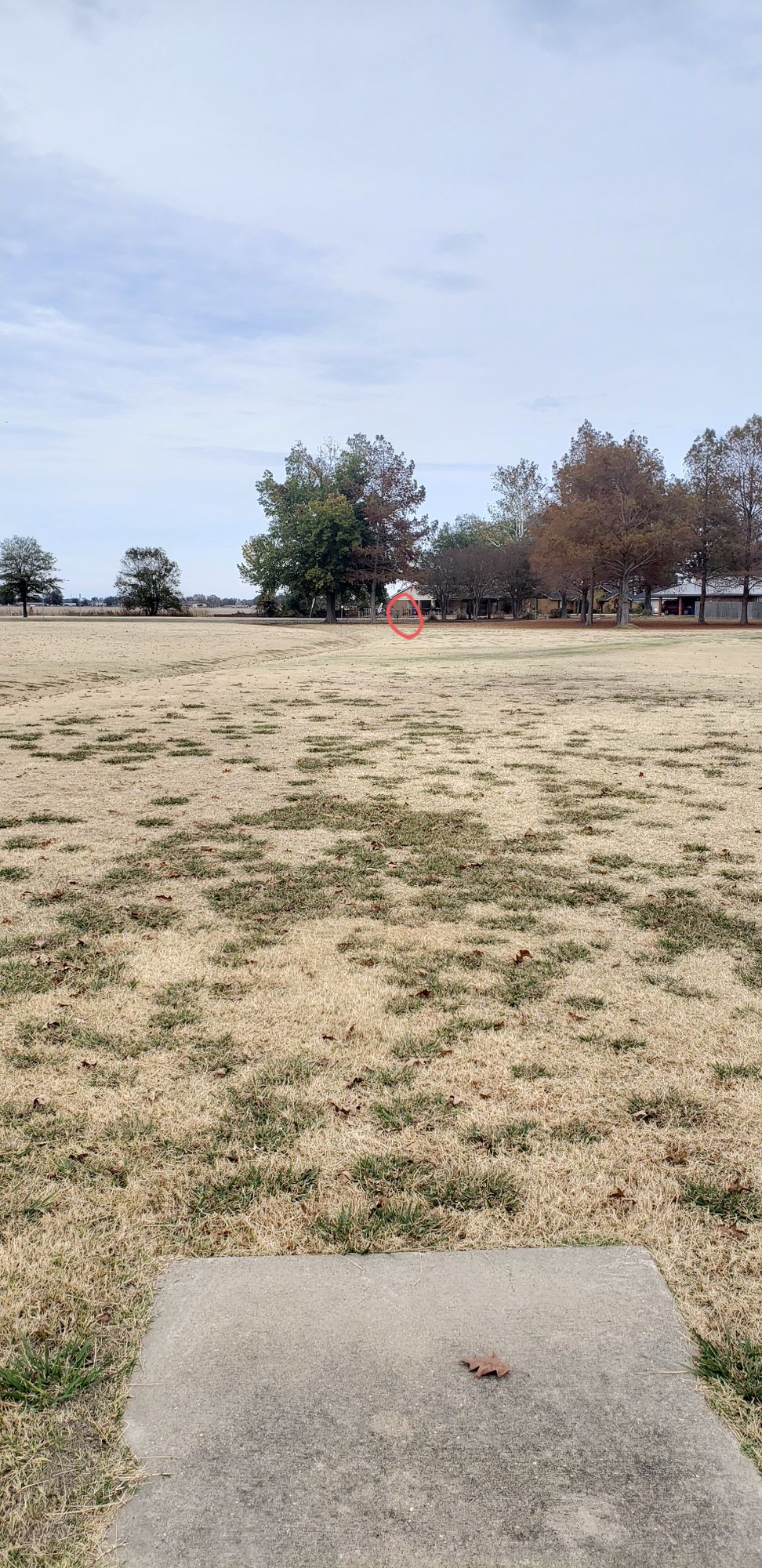 Hole 15