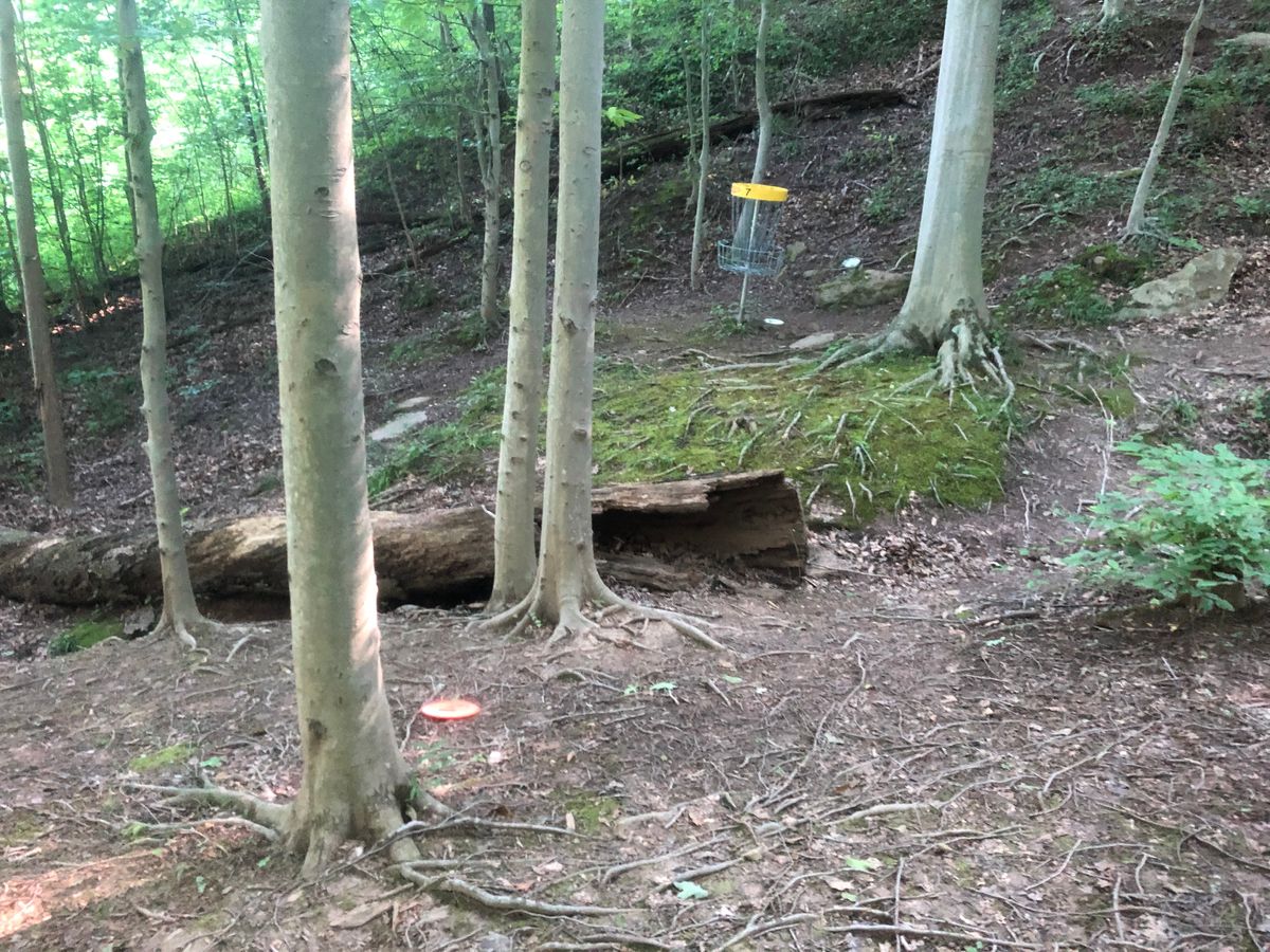 Hole 7 around the circle