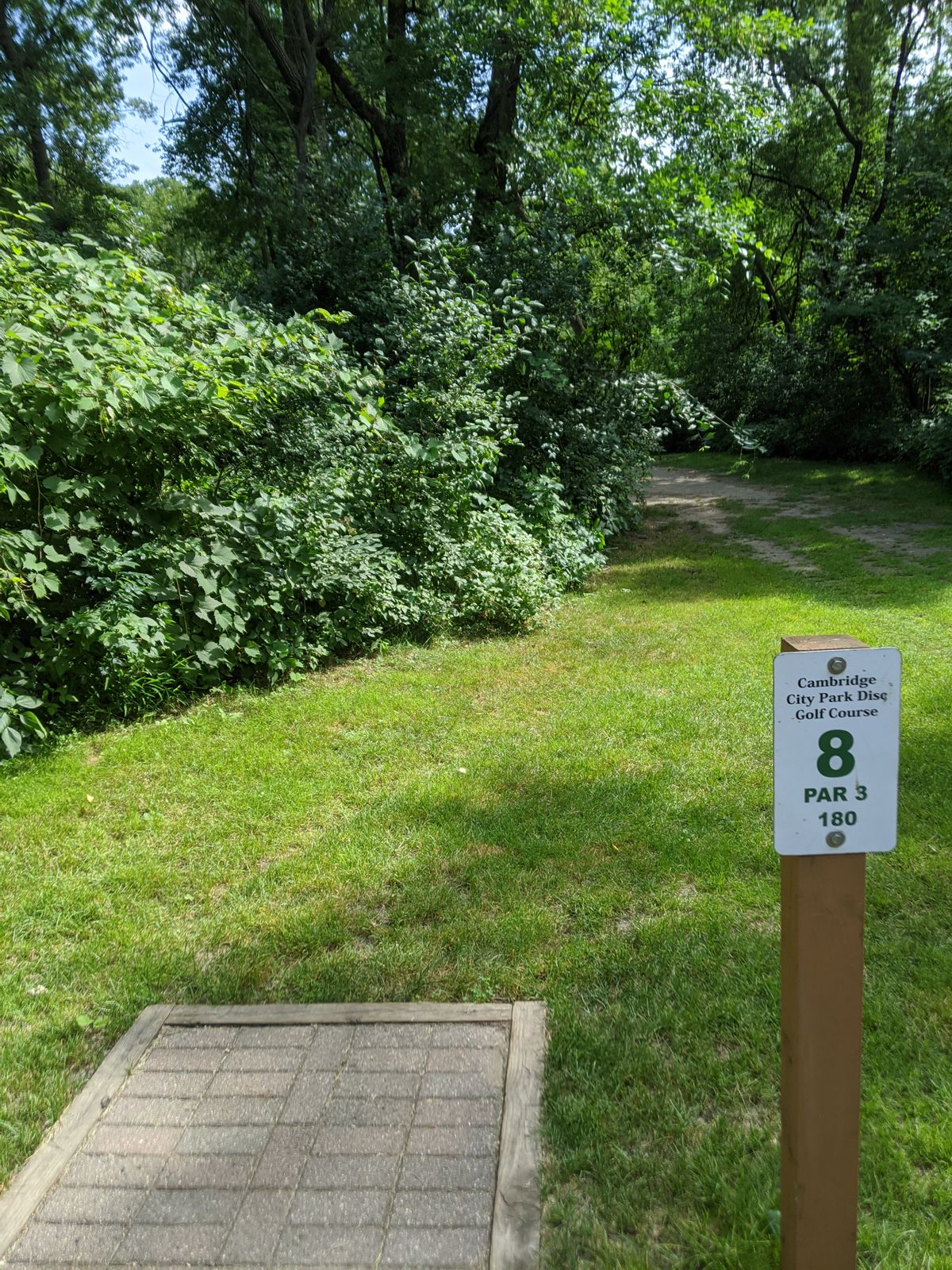 Hole 8 tee