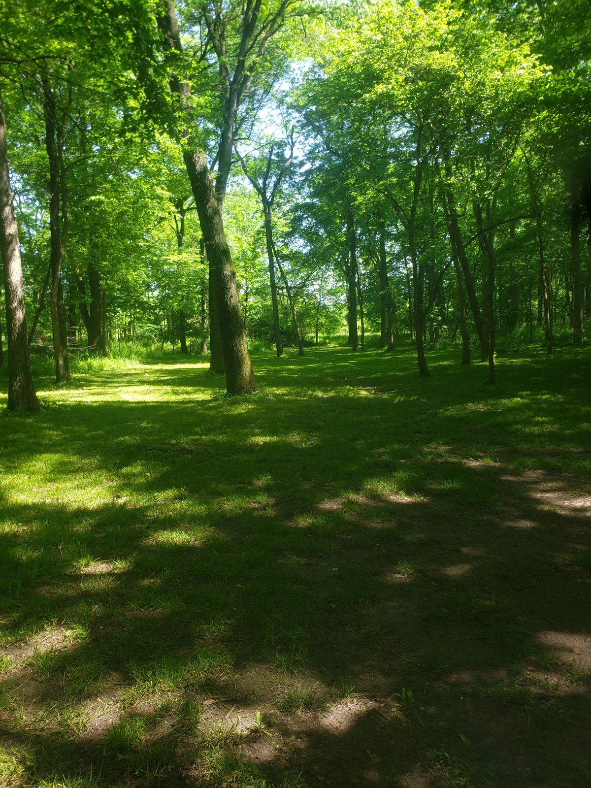 Hole 3