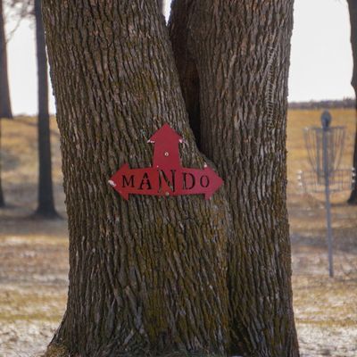 (Don’t hit this tree)