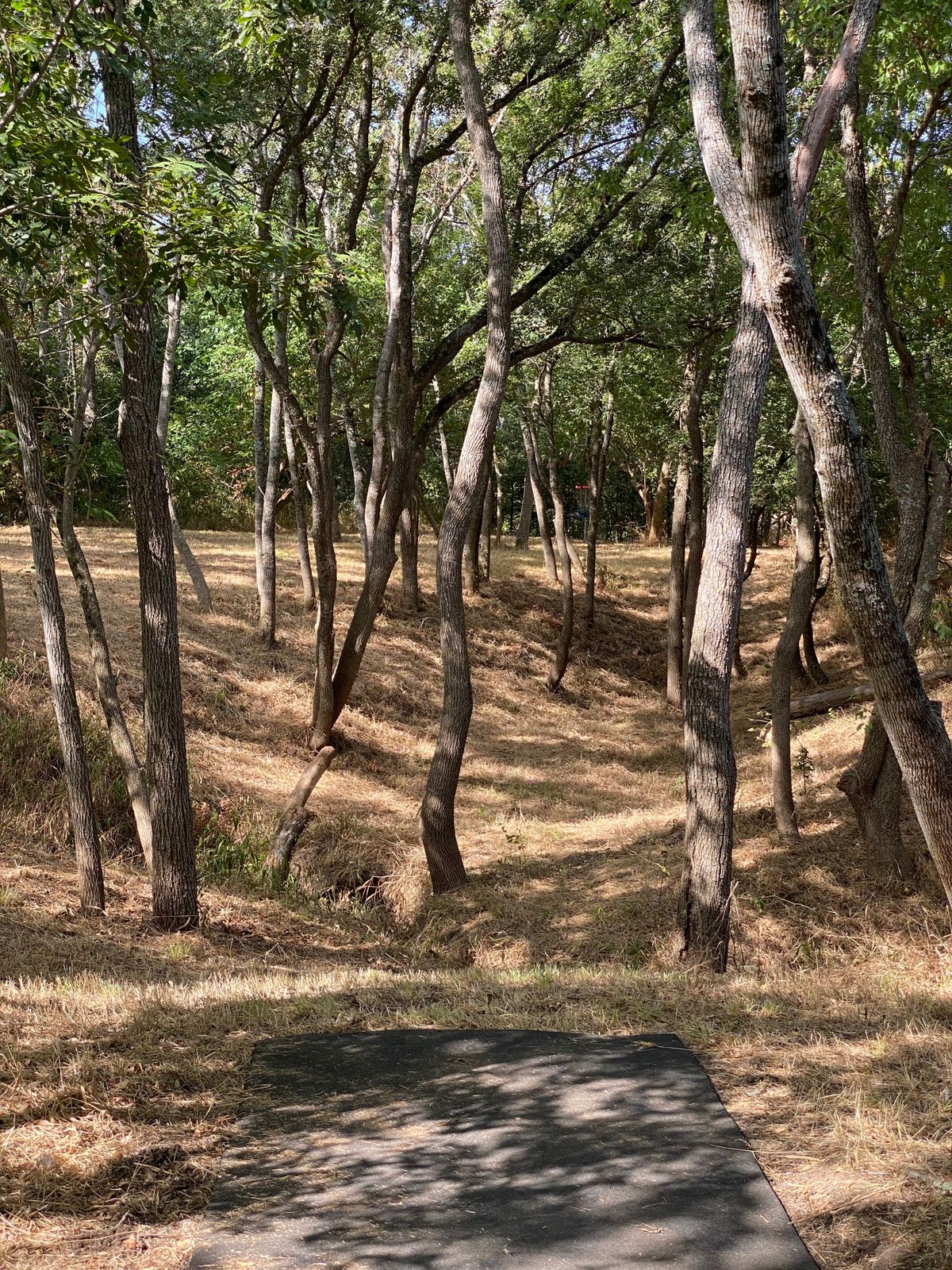 Hole 10 is only 148ft but you better hit a gap.