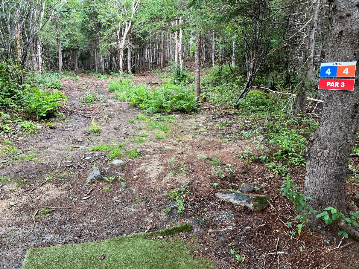 Hole 4 Tee