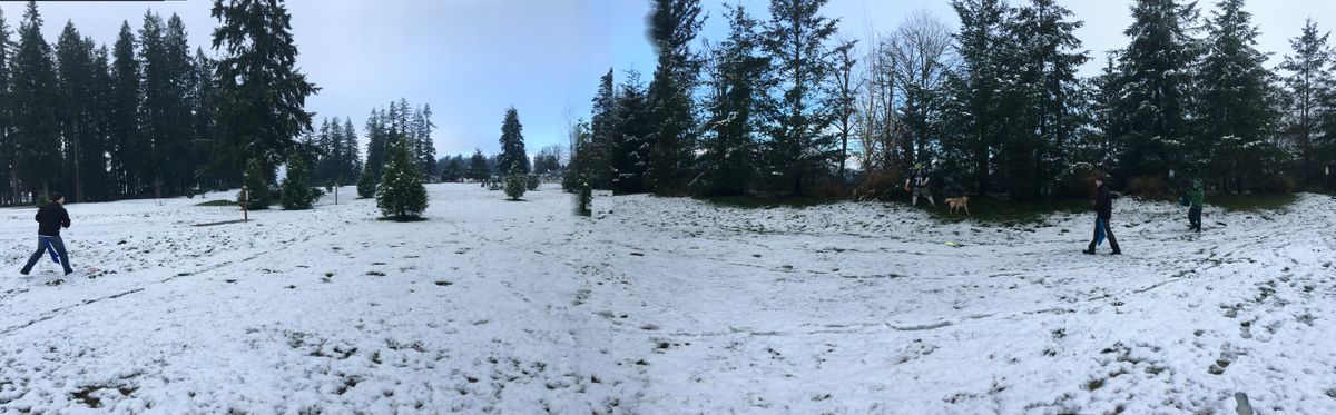 Another shot of the course