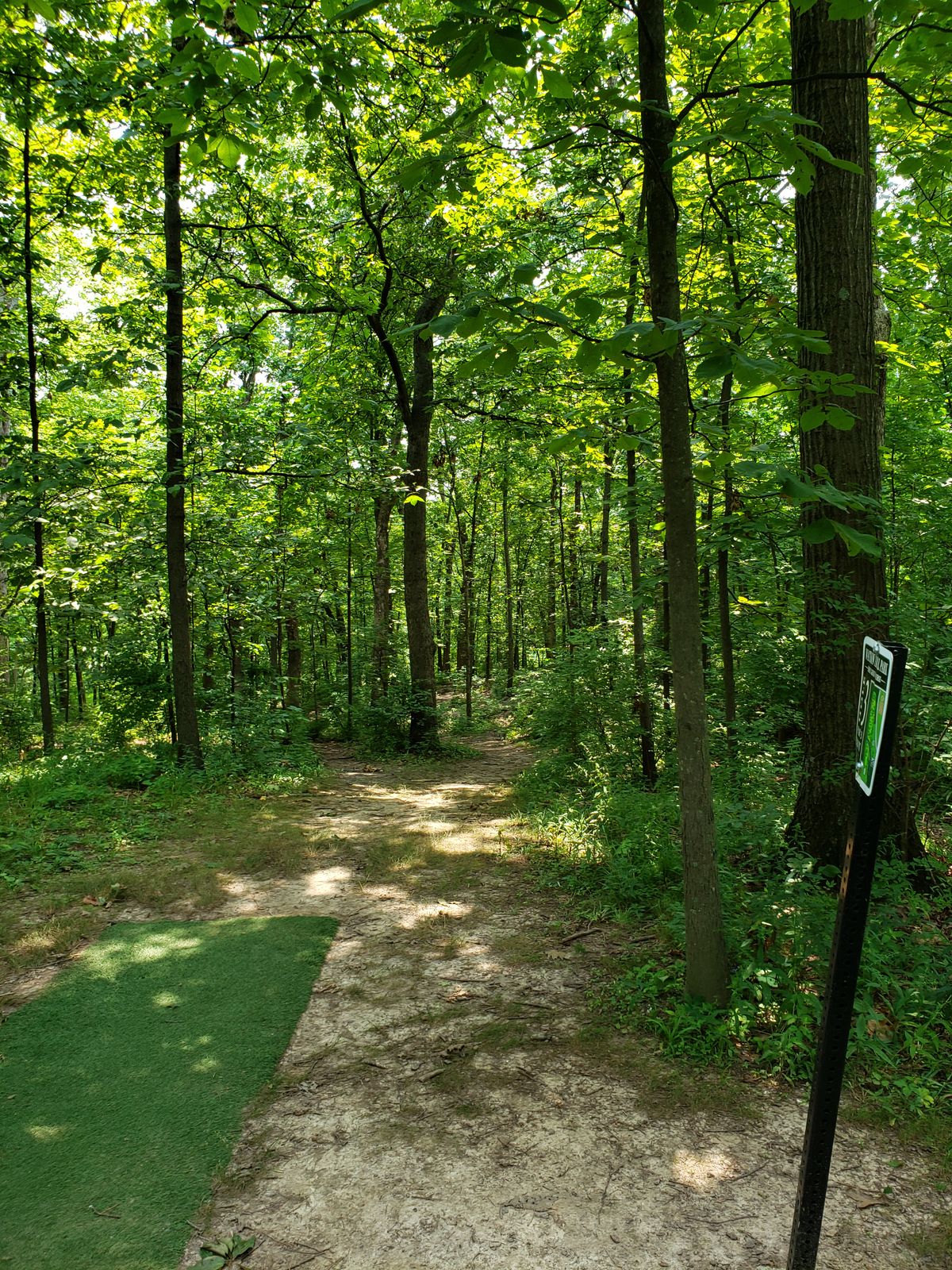 #3 "Fairway" - can't see the forest for the trees, let alone a basket.