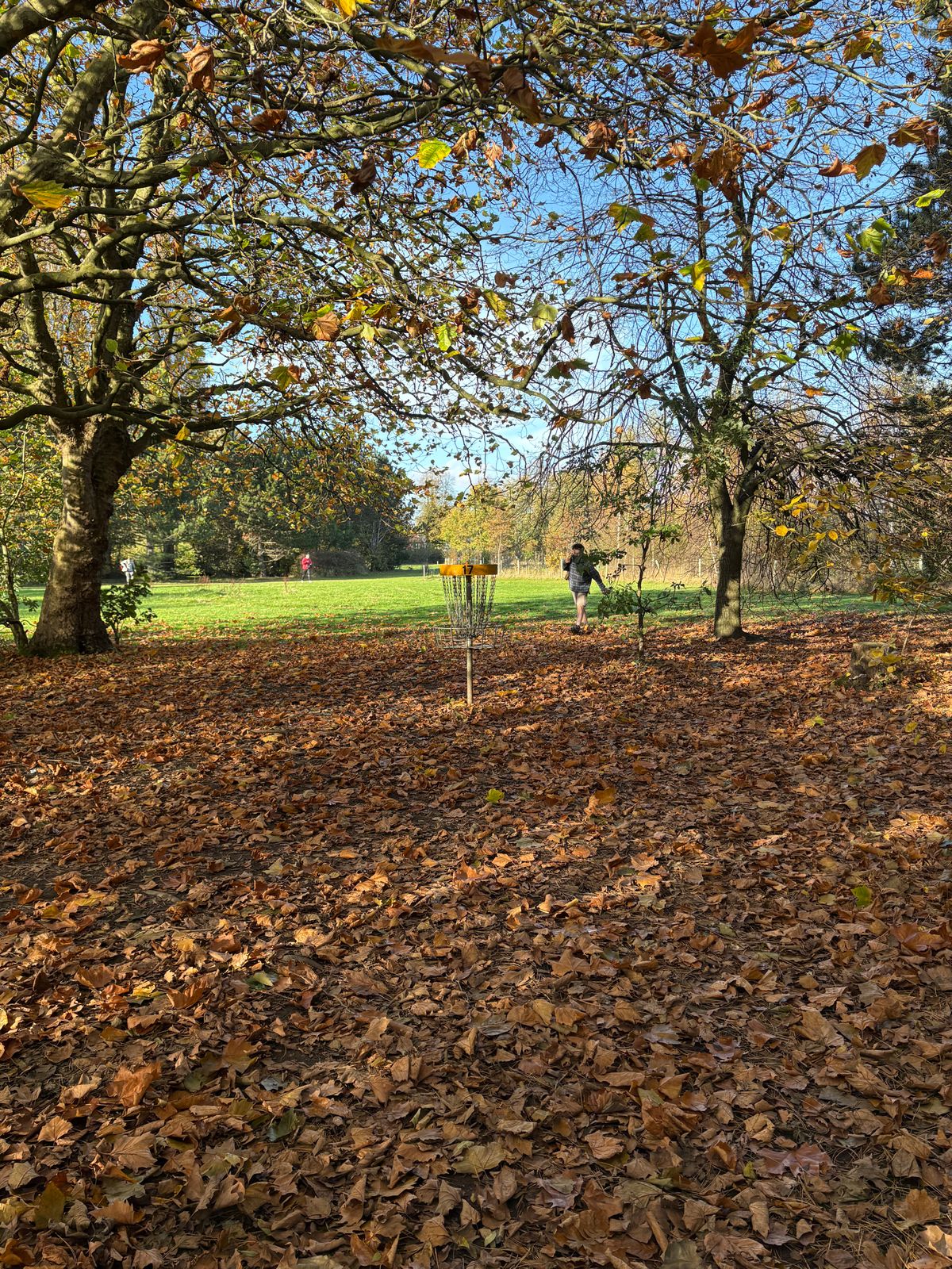 Hole 17 in Autumn. 🍂