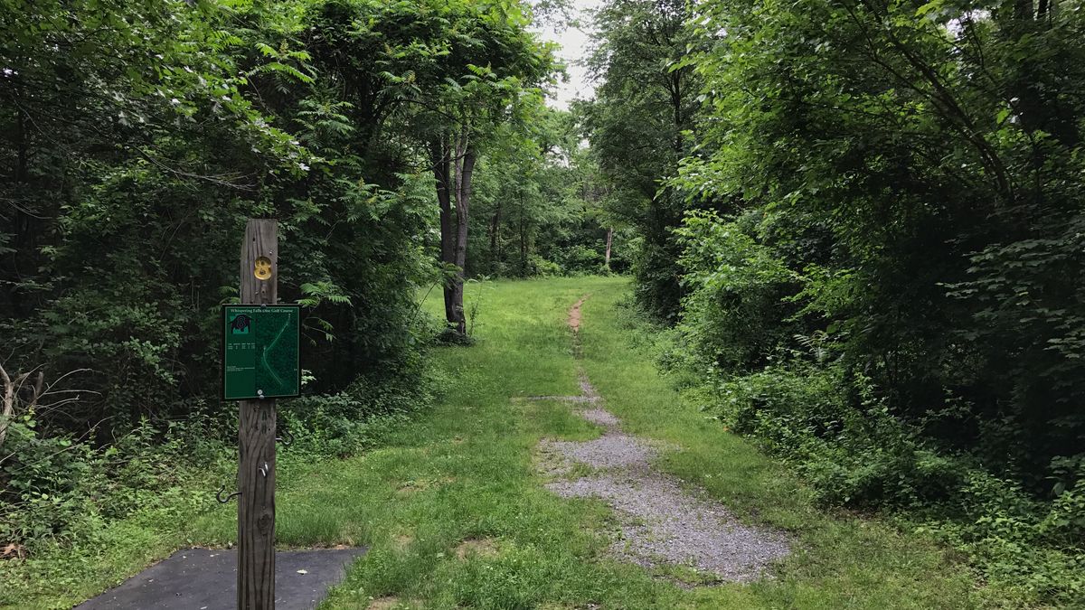 Hole 8