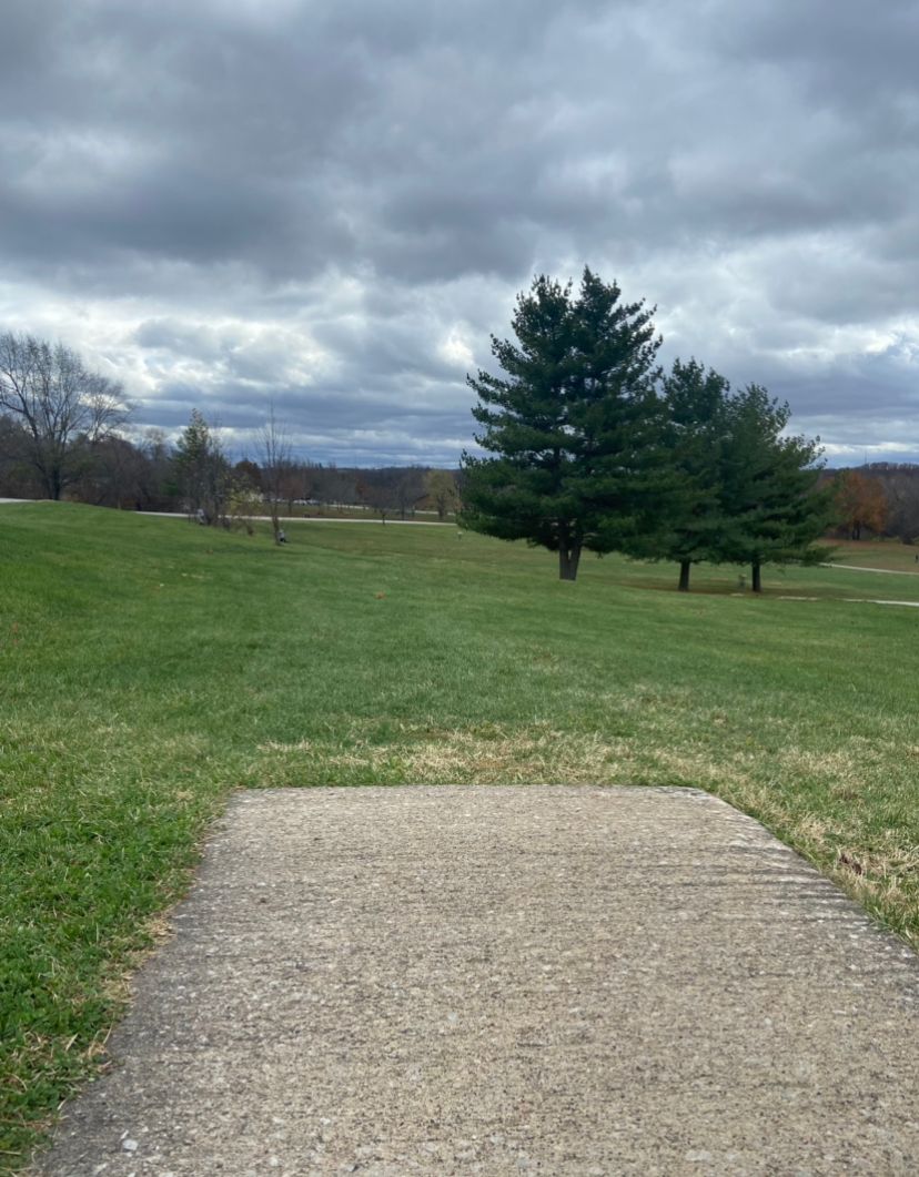 Bomber shot, straight out down hill with obstructing pines and O.B. To left, right and past basket