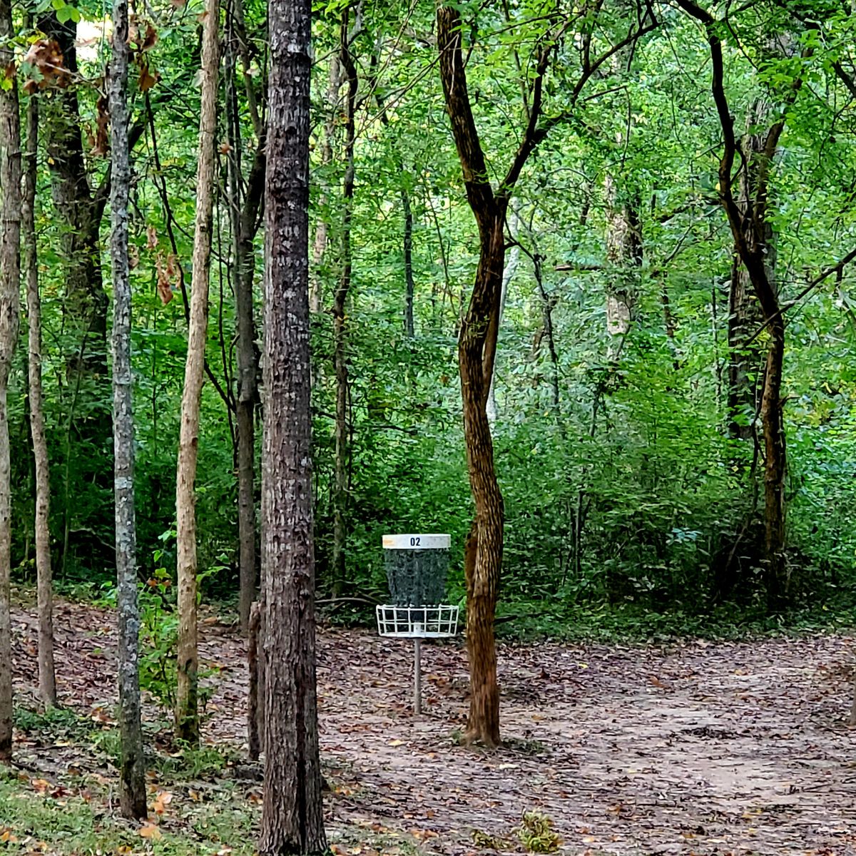 Hole 2 Baby Cane