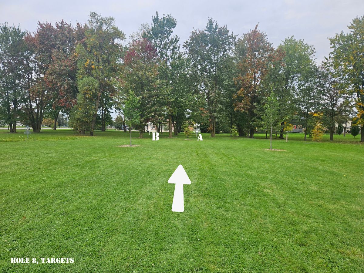 Hole 8 target locations
