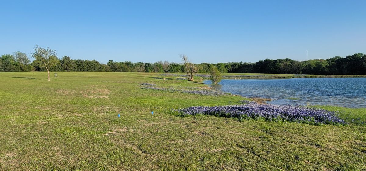wide view of hole 1 from teepad.  basked and green are way up by the tree line.  basket to the left is for holes 5/16/18.
