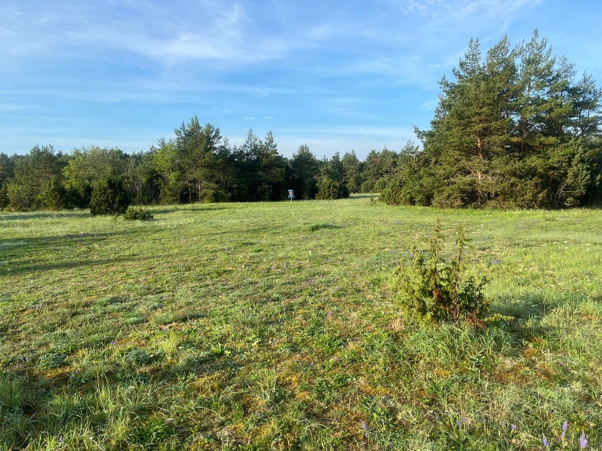Fairway hole 4