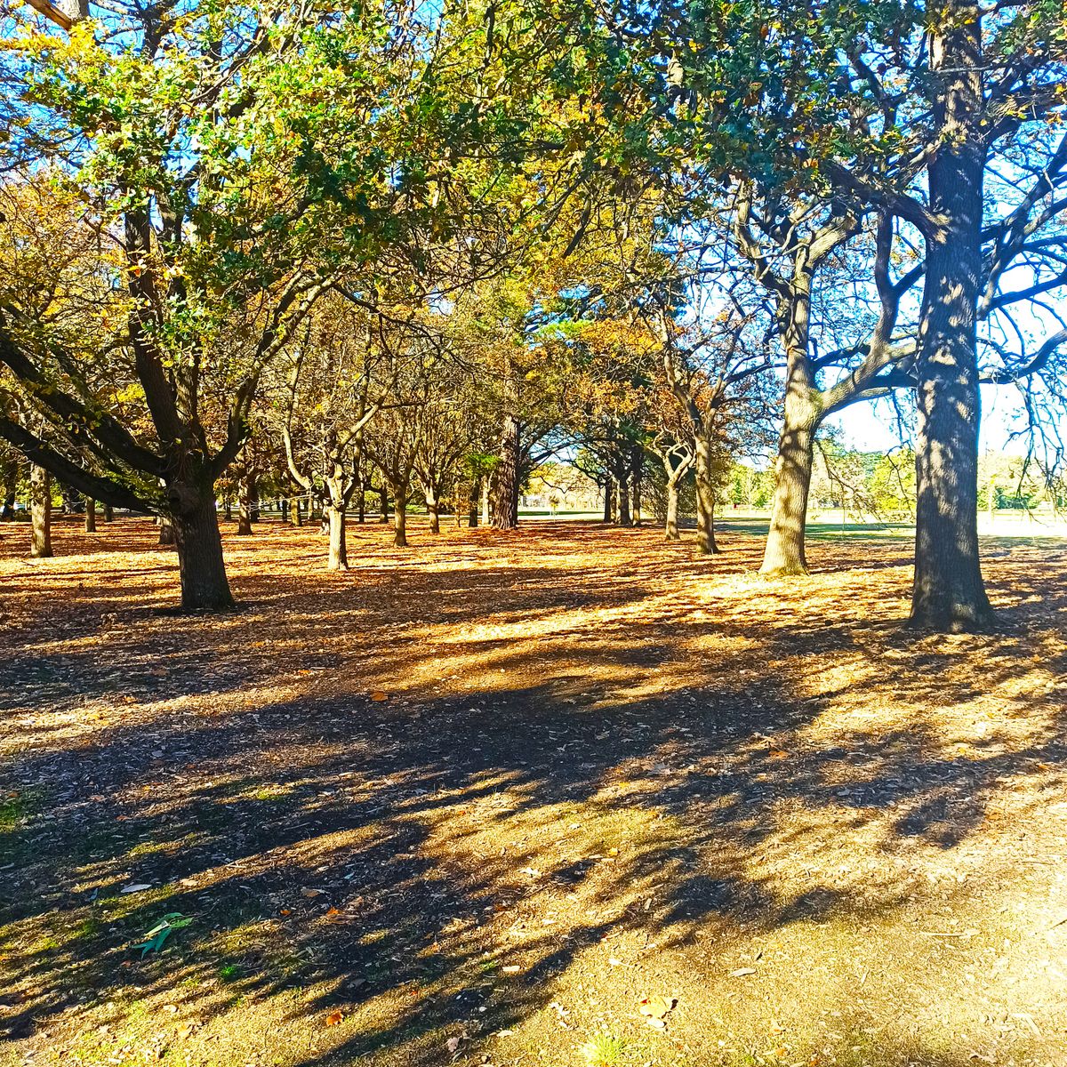 Hole 1- Low ceiling