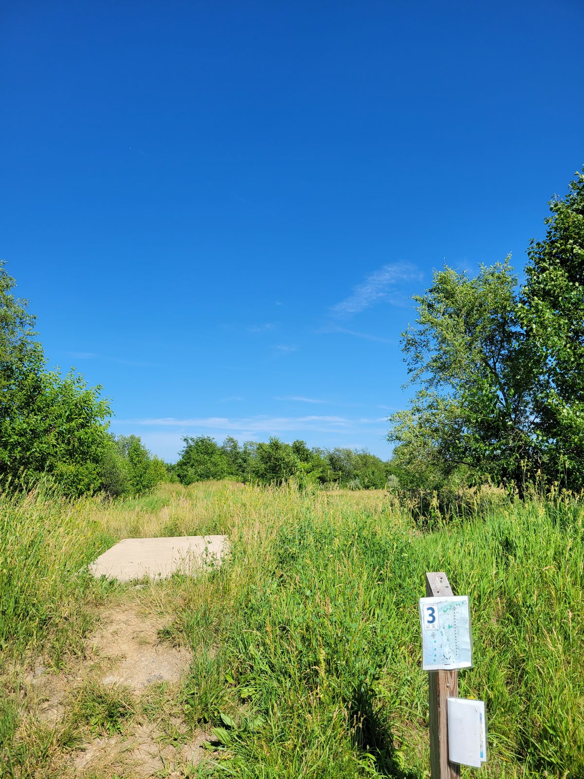 3rd Tee