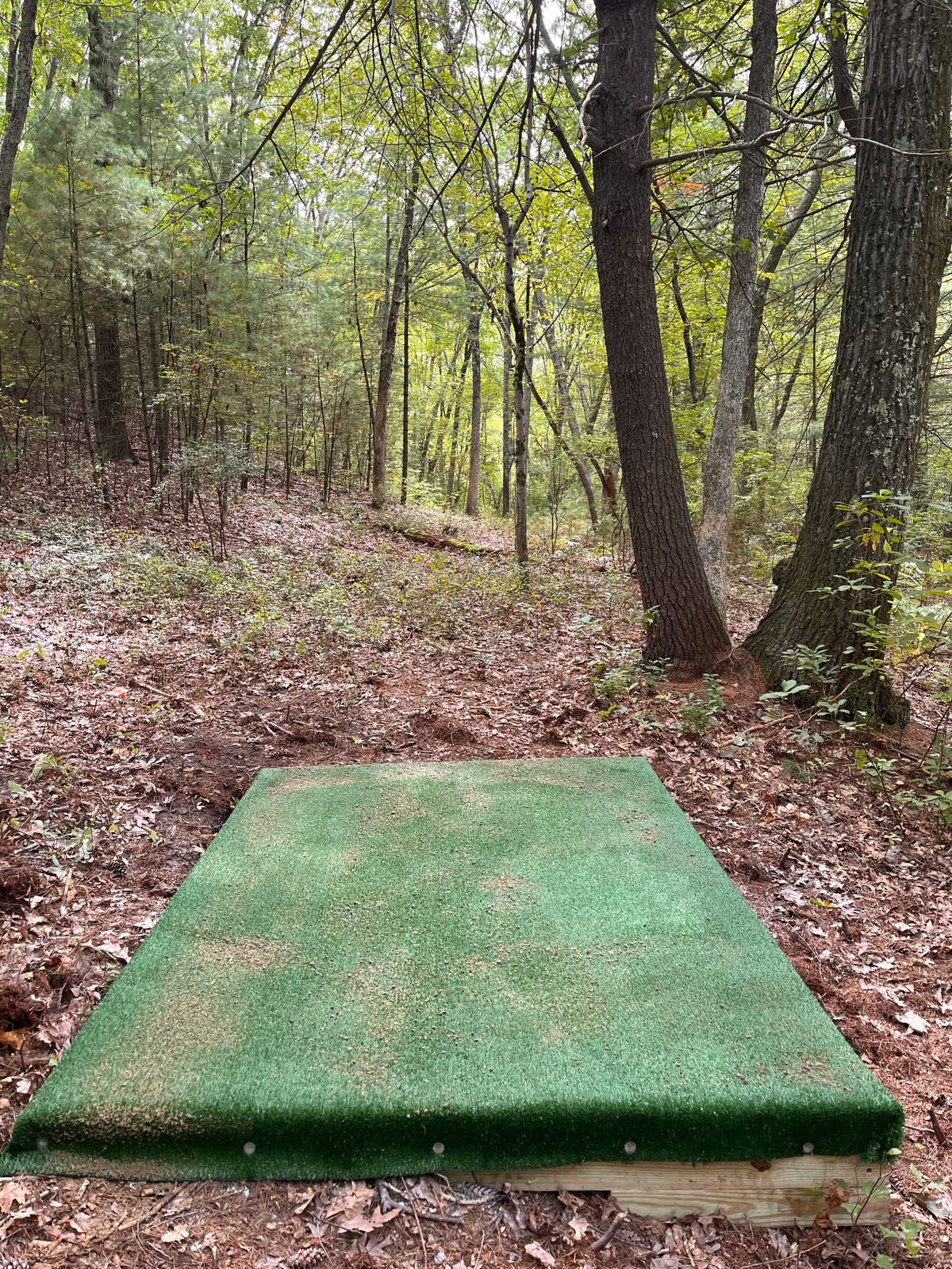 Hole 8