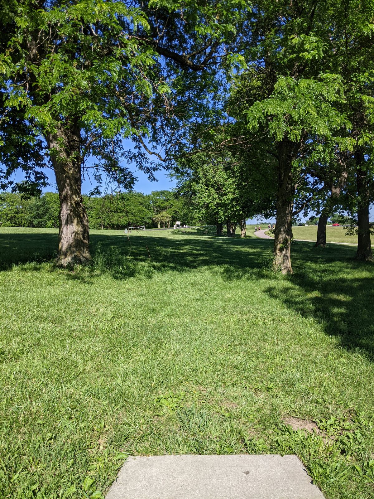 Tee 12