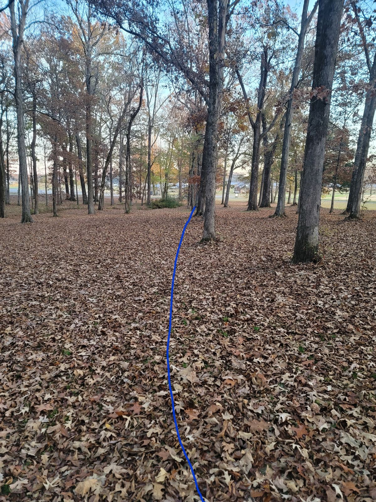 Hole 8 
Short 203