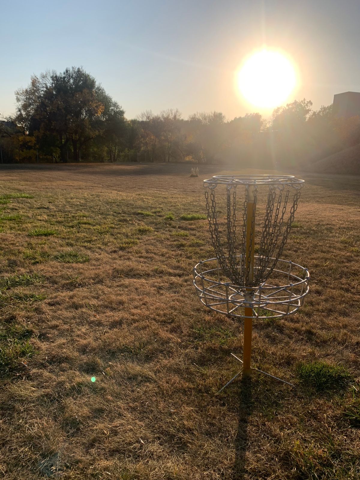 Hole 8 basket looking towards tee pad.
