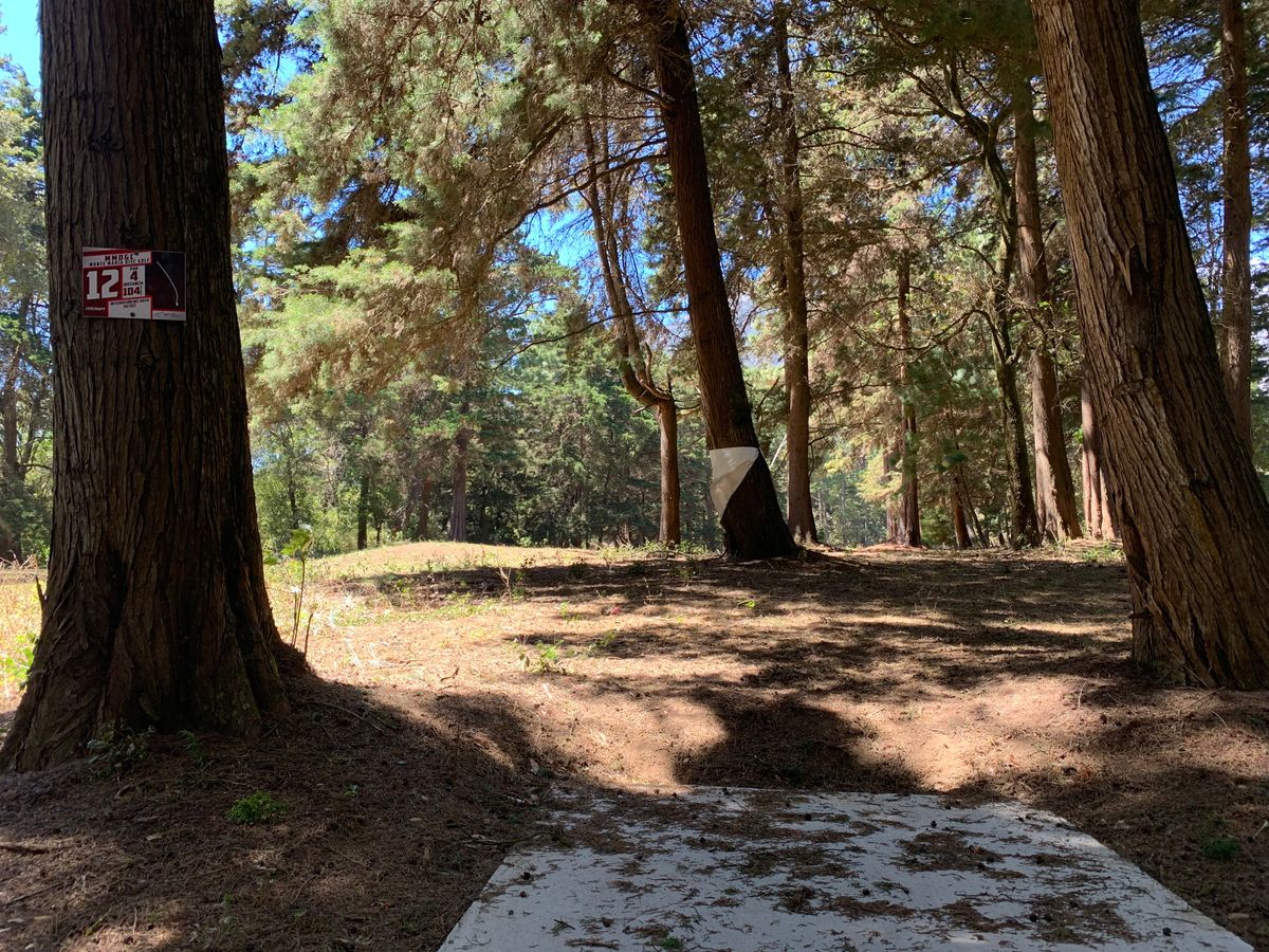 Hole #12 tee pad