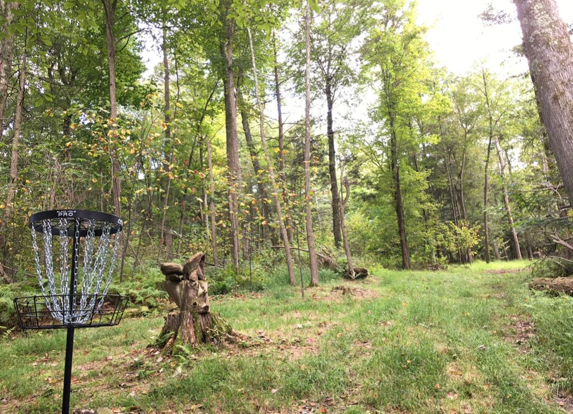 Hole 5 (aka Barbie basket)
