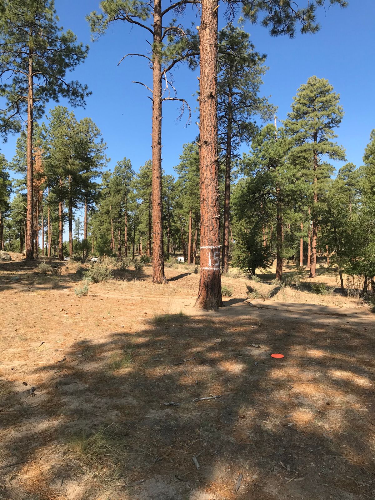 Target 15