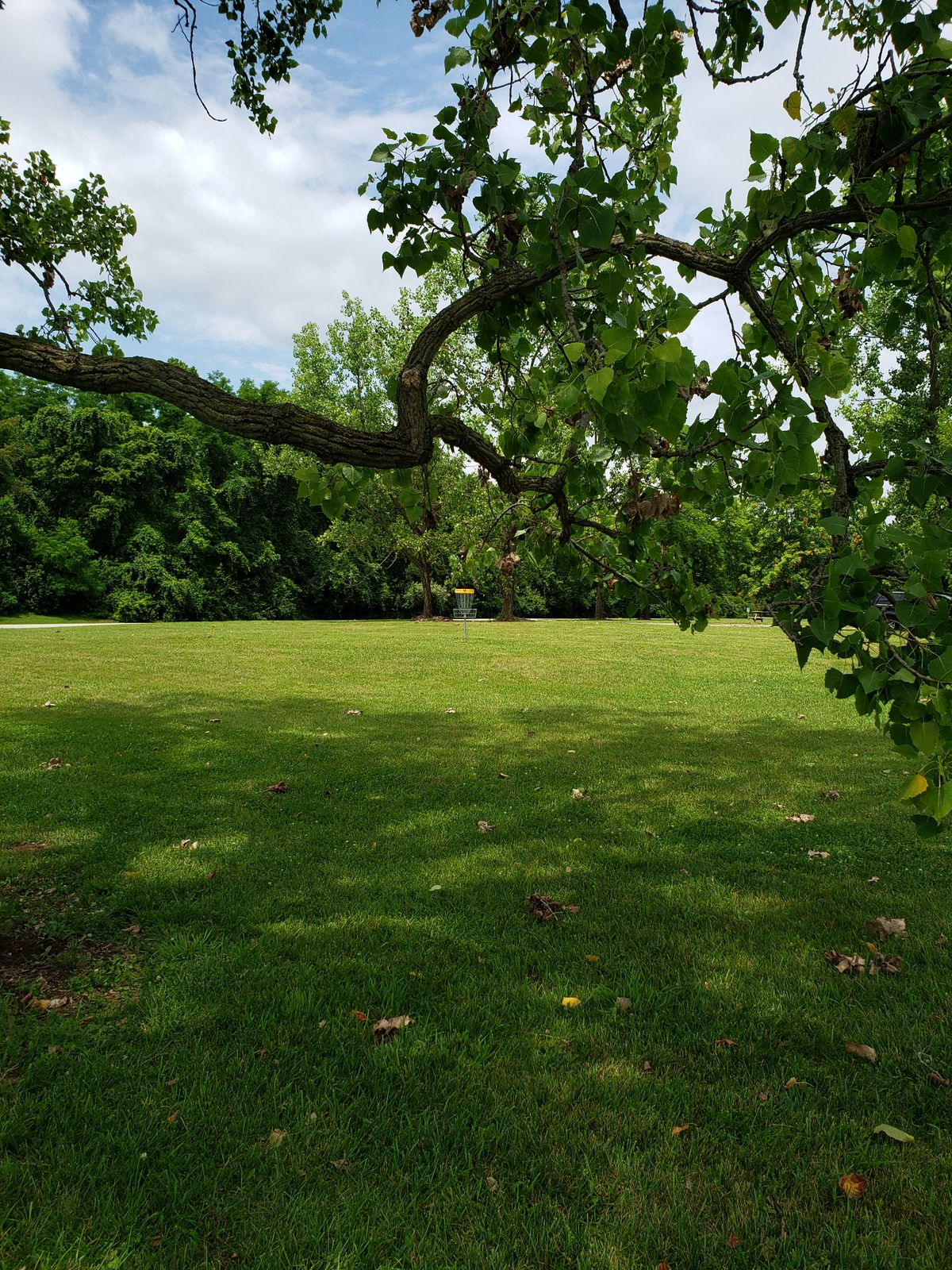 #18 Fairway and Green Approach.