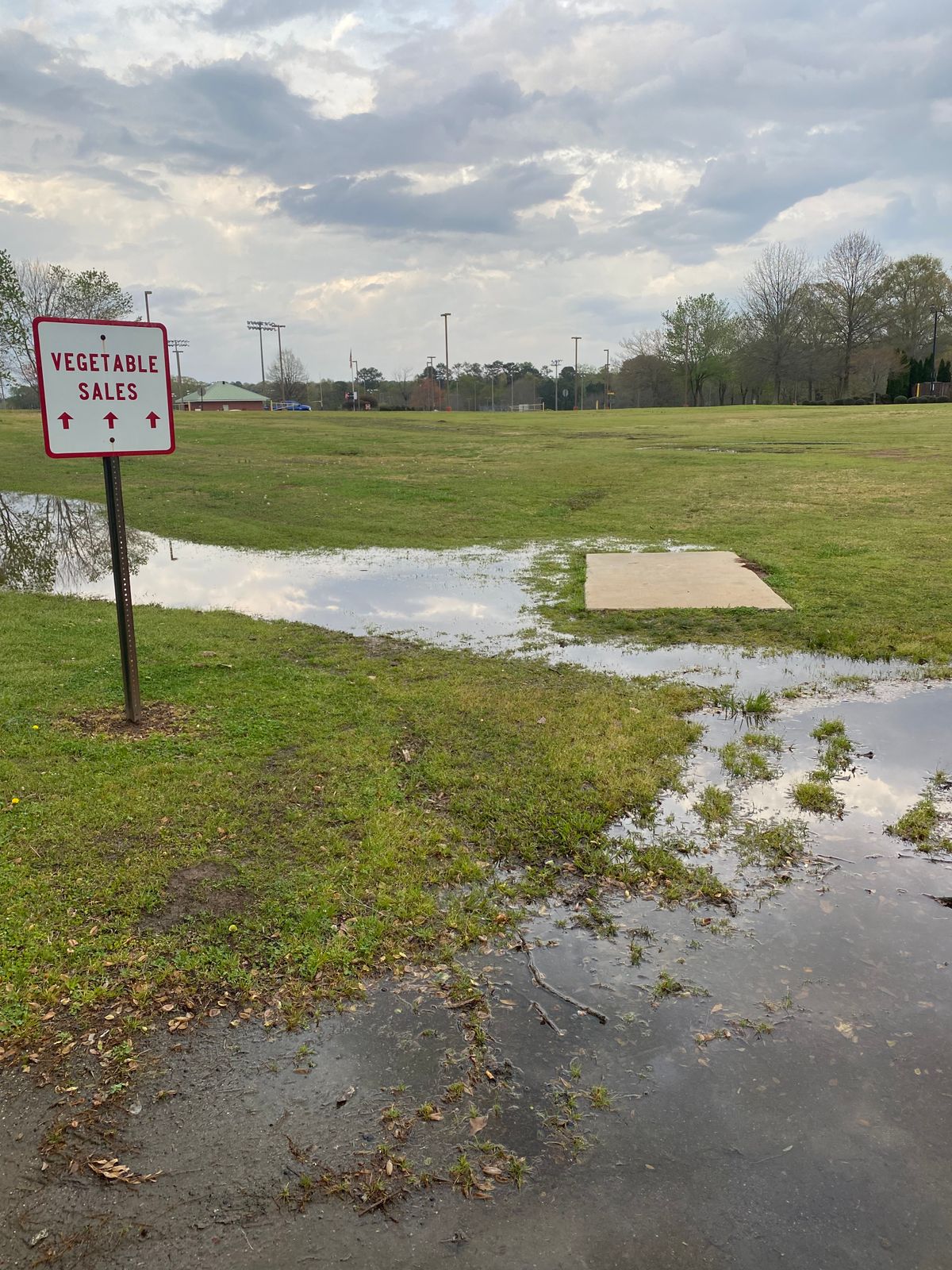 Hole 6