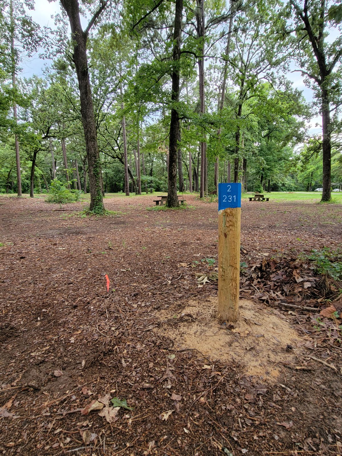 2nd tee